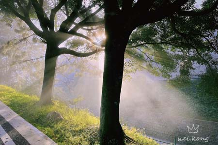 1678666801960043527.jpg 2.jpg